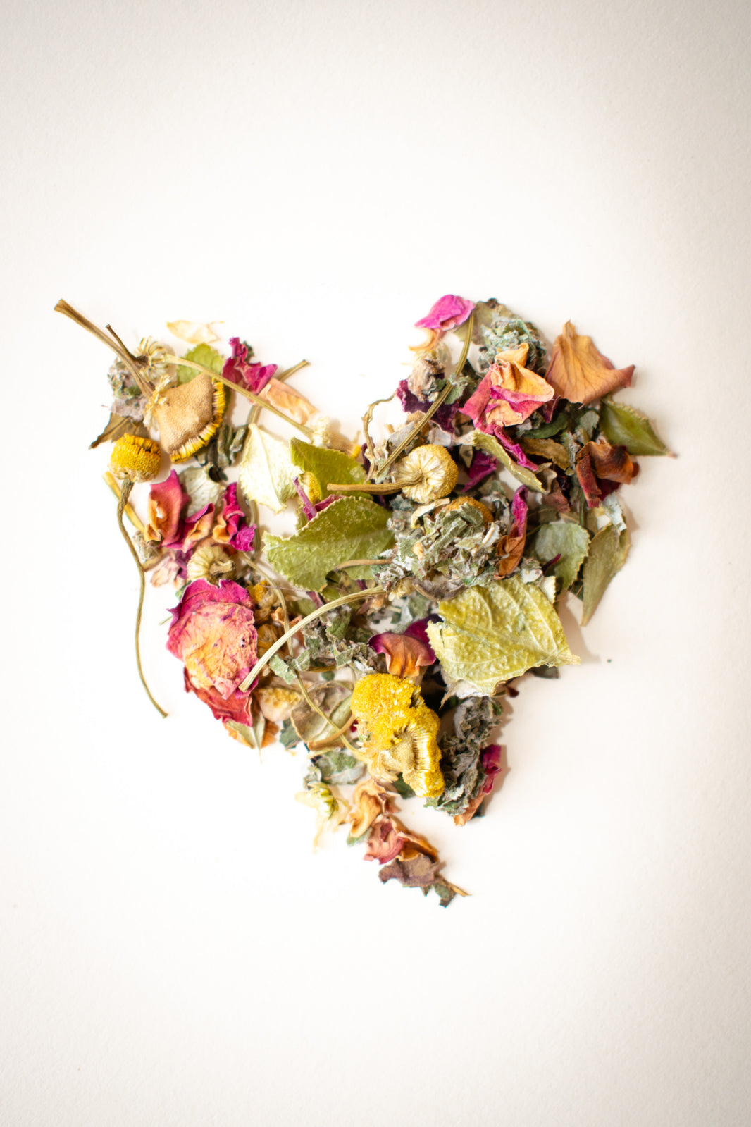 Botanical Teas – Royal Forest Botanics